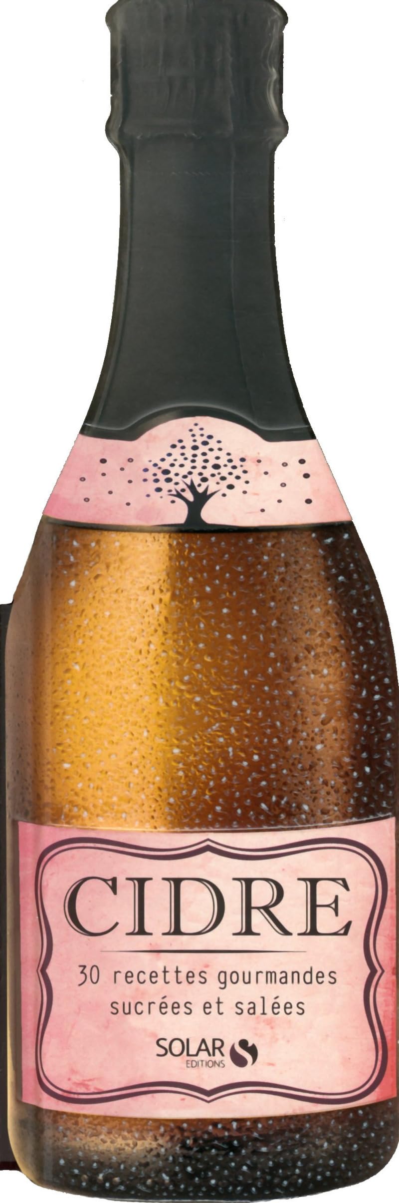 Cidre: 30 recettes gourmandes sucrées et salées Books
