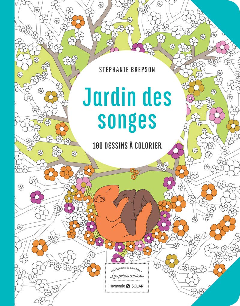 Jardin des songes -Les petits cahiers- Aux sources du bien-être: 100 dessins à colorier Hobbies & Crafts