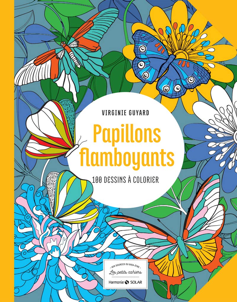 Papillons flamboyants - 100 dessins à colorier Hobbies & Crafts