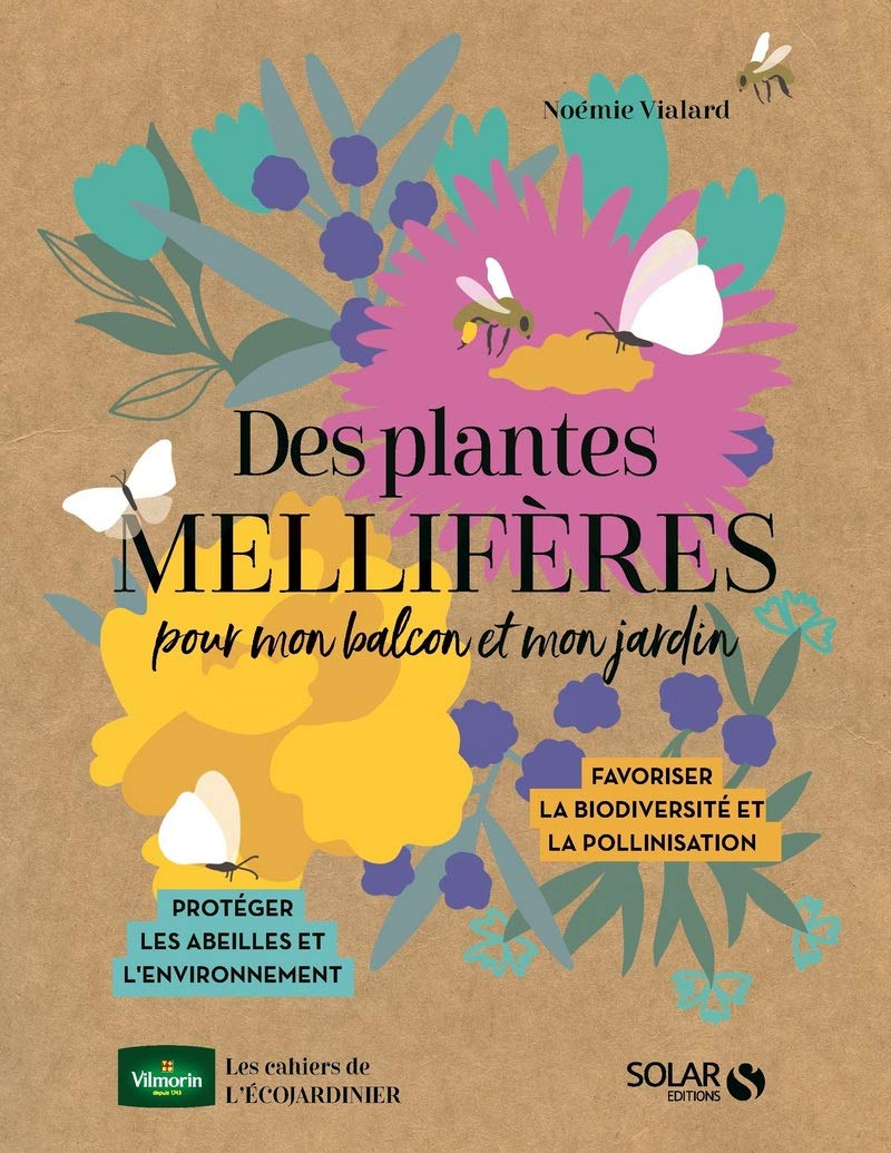 Des plantes mellifères pour mon balcon et mon jardin Garden & Plants