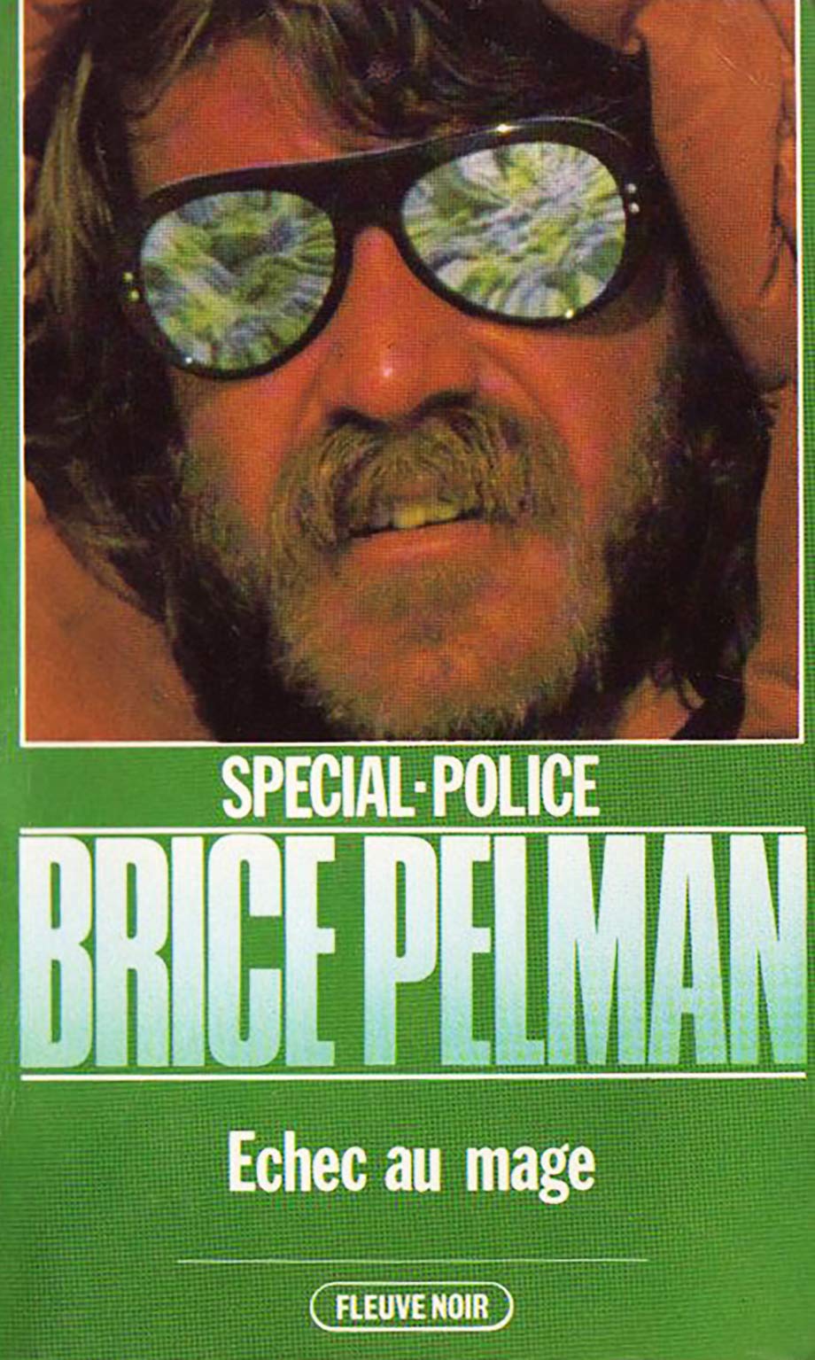 Échec au mage (Spécial police) book