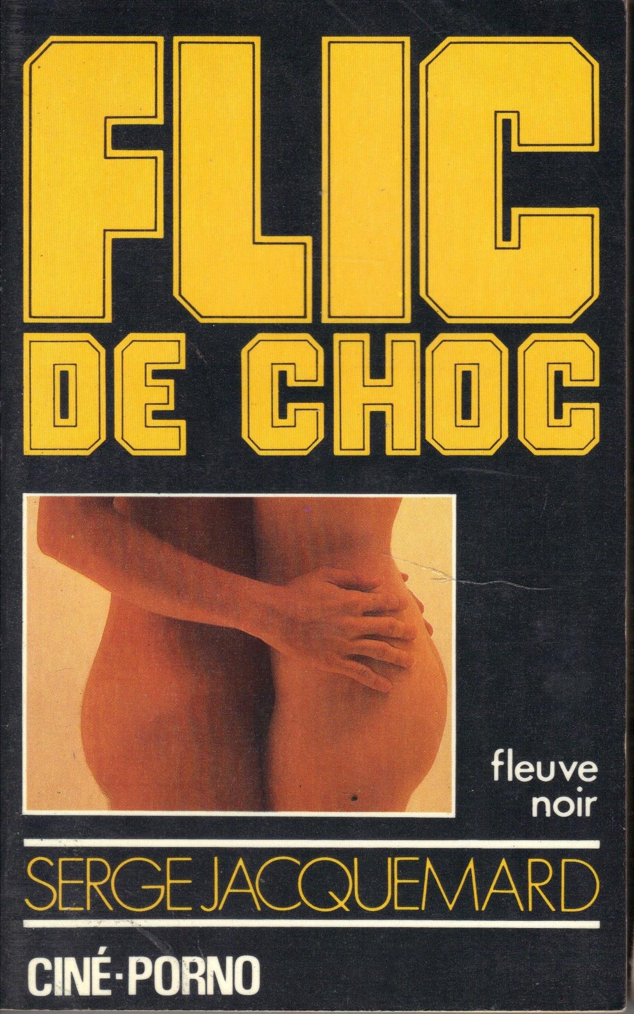 Ciné-porno book