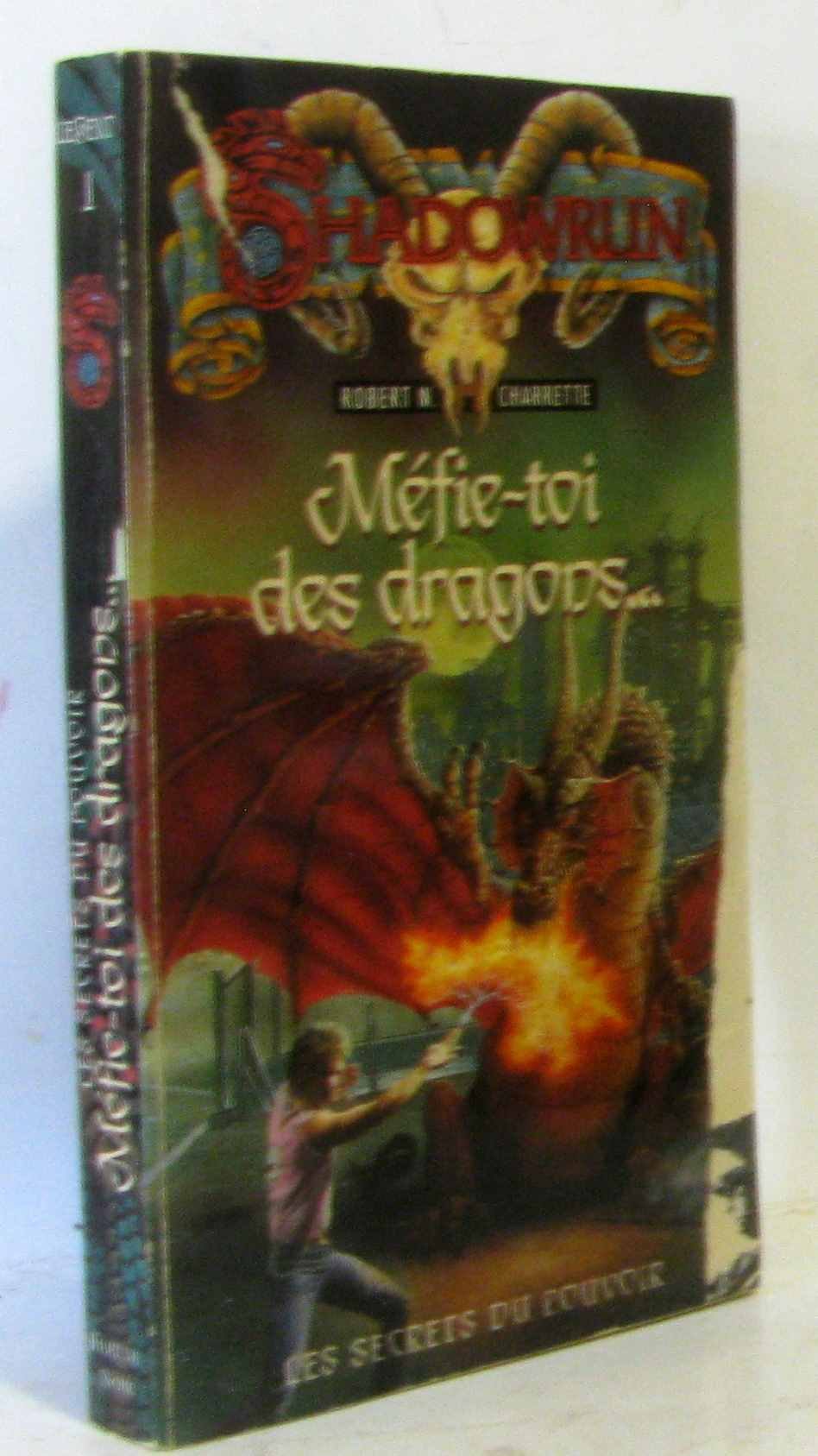 Les secrets du pouvoir. Vol. 1. Méfie-toi des dragons Books
