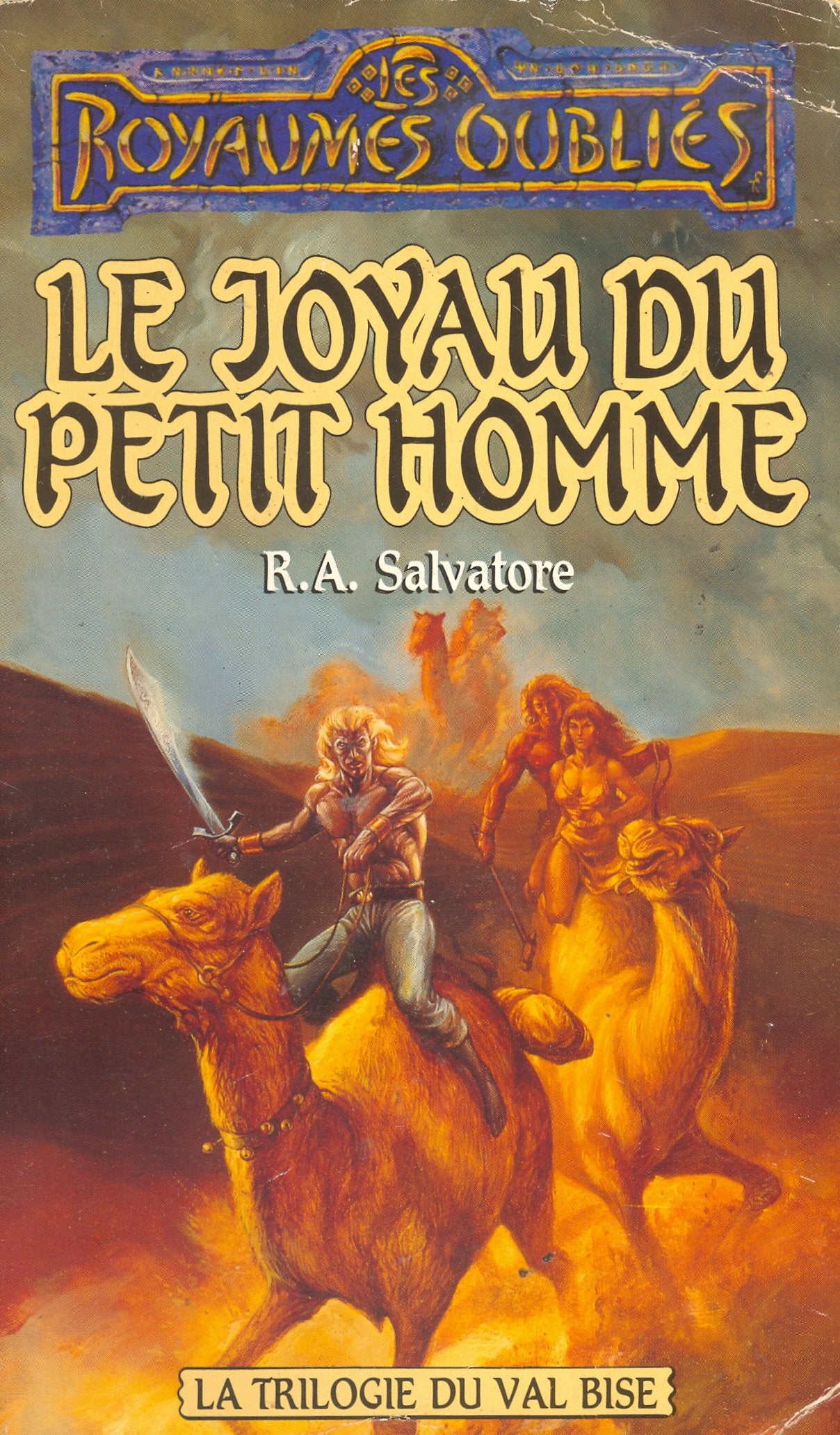La Sequence D'Ombre-Terre Et Du Val Bise Tome 6 : Le Joyau Du Petit Homme book