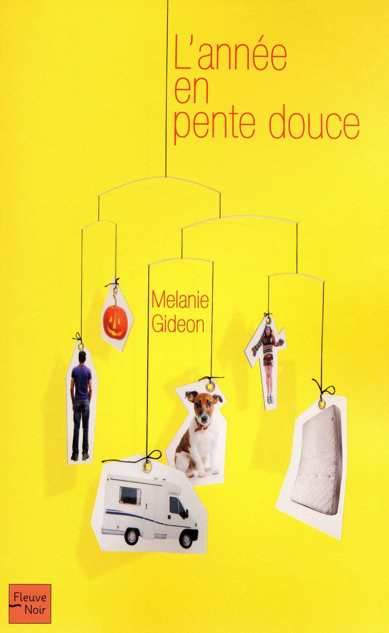 Product Image: L'année en pente douce