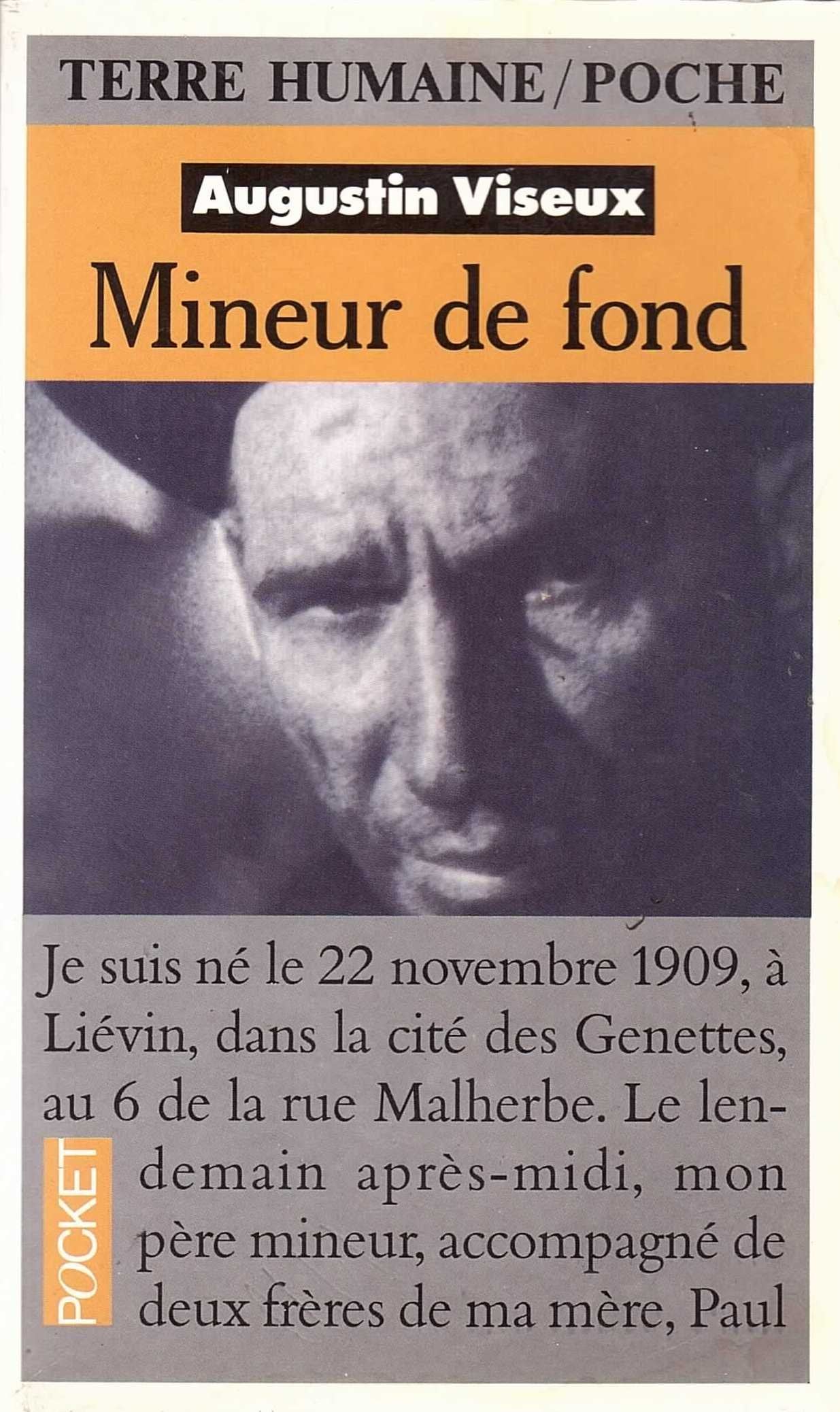 Mineur de fond : fosses de Lens, soixante ans de combat et de solidarité Books