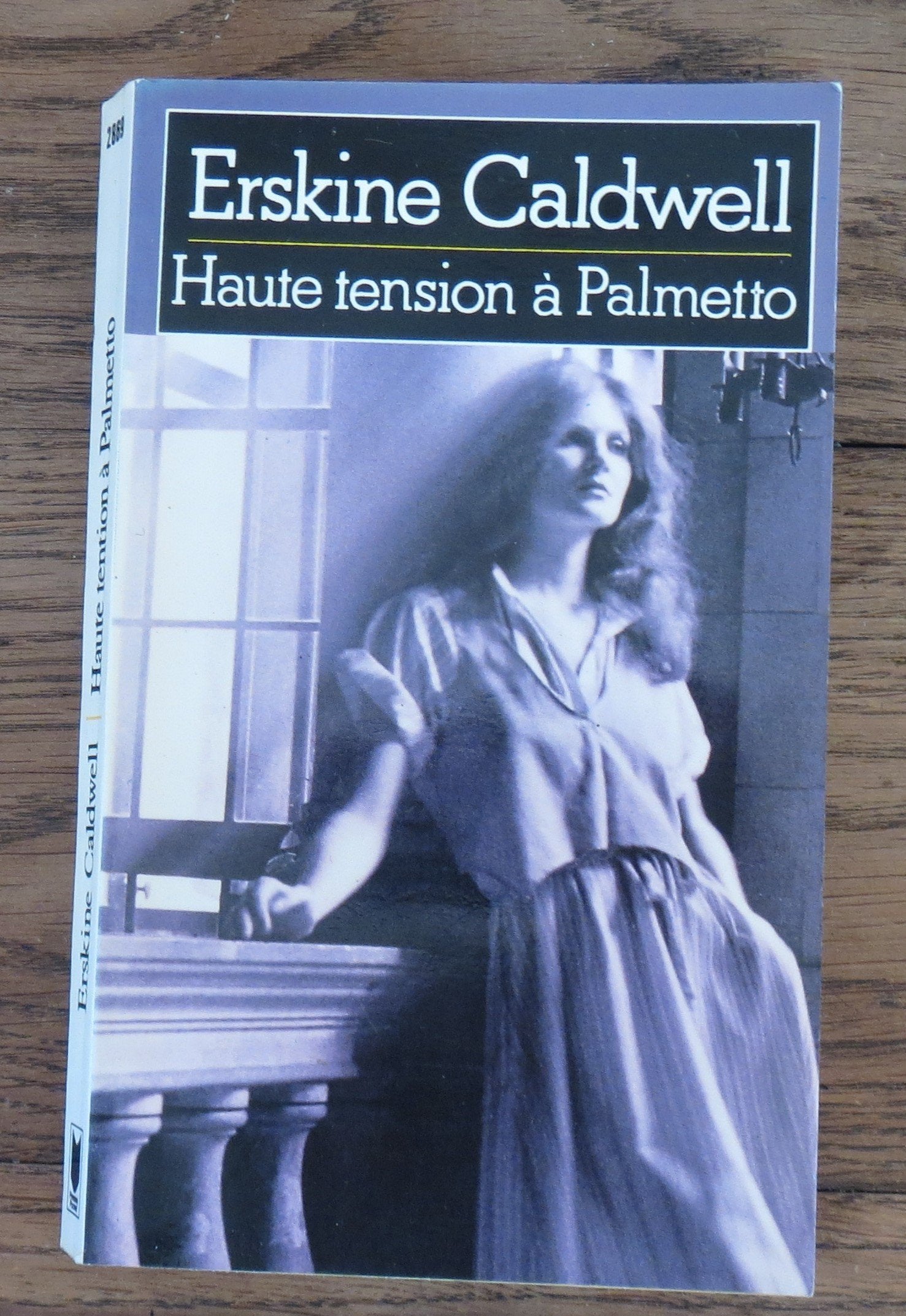 Haute tension à Palmetto Books