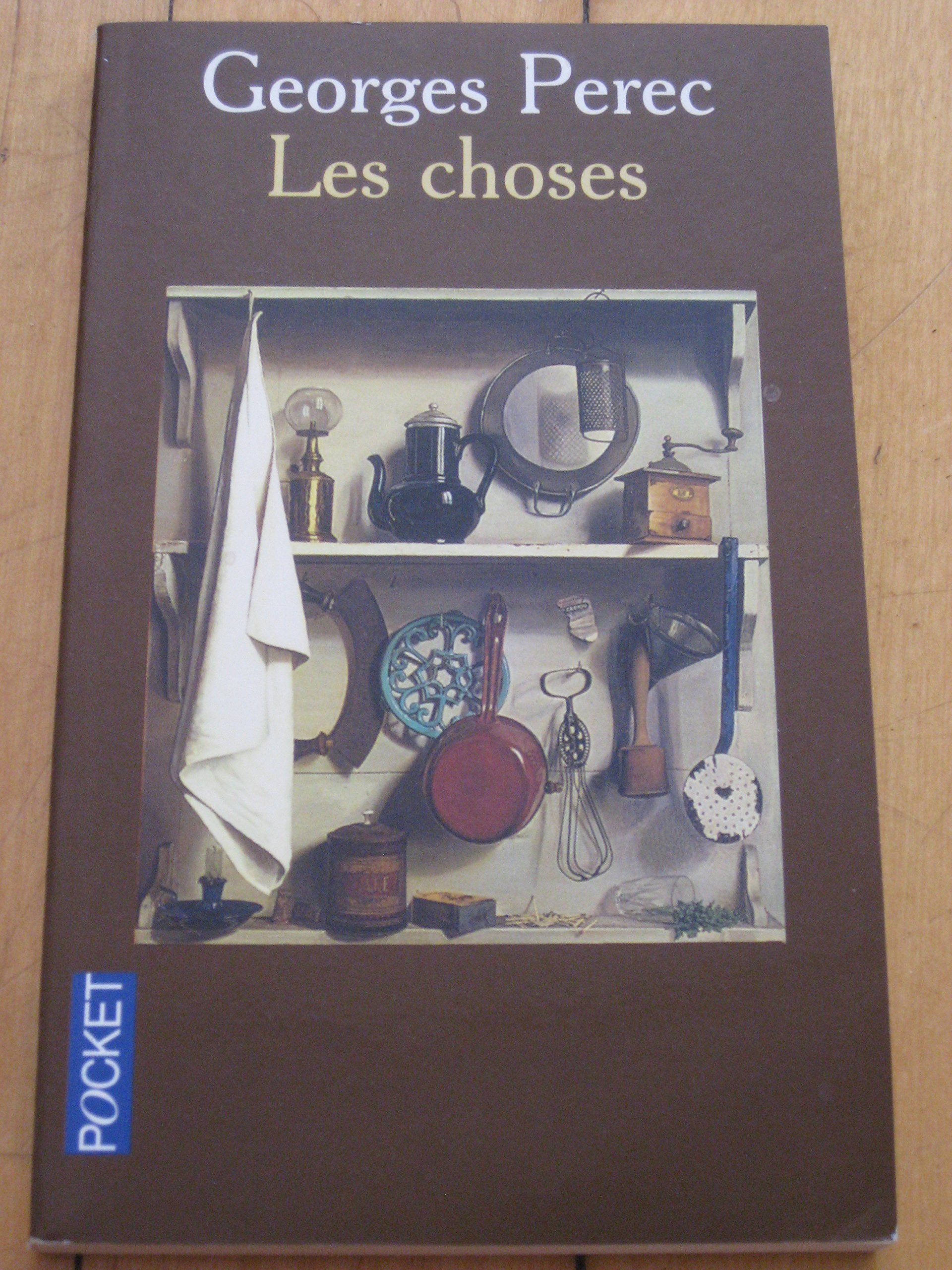 Les Choses Contemporary literature