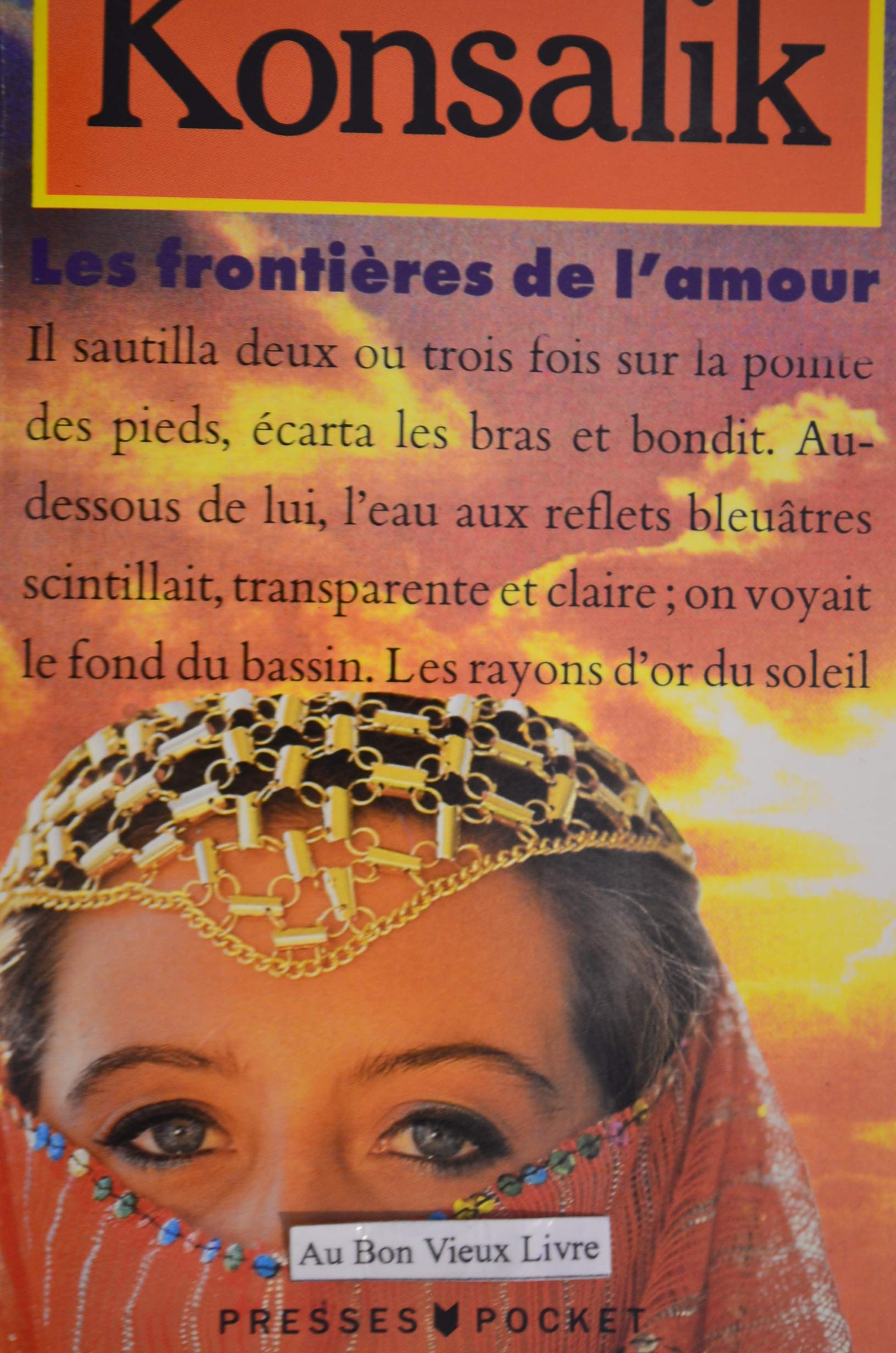 Les Frontières de l'amour book