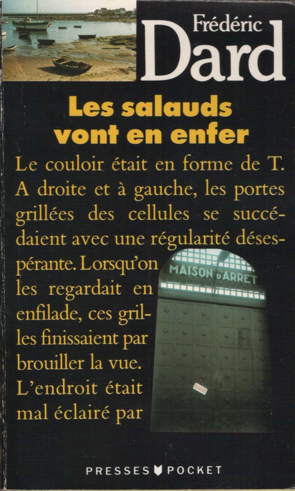 Les salauds vont en enfer / roman (Noir) Books