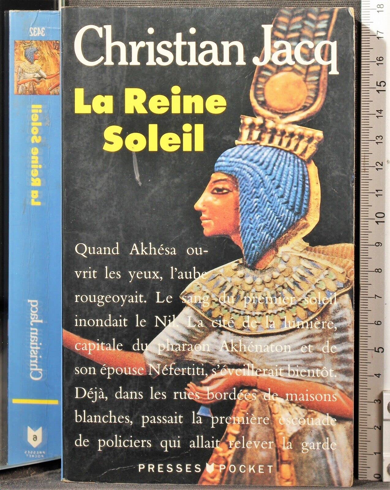 La Reine Soleil: L' aimee de Toutankhamon Contemporary literature