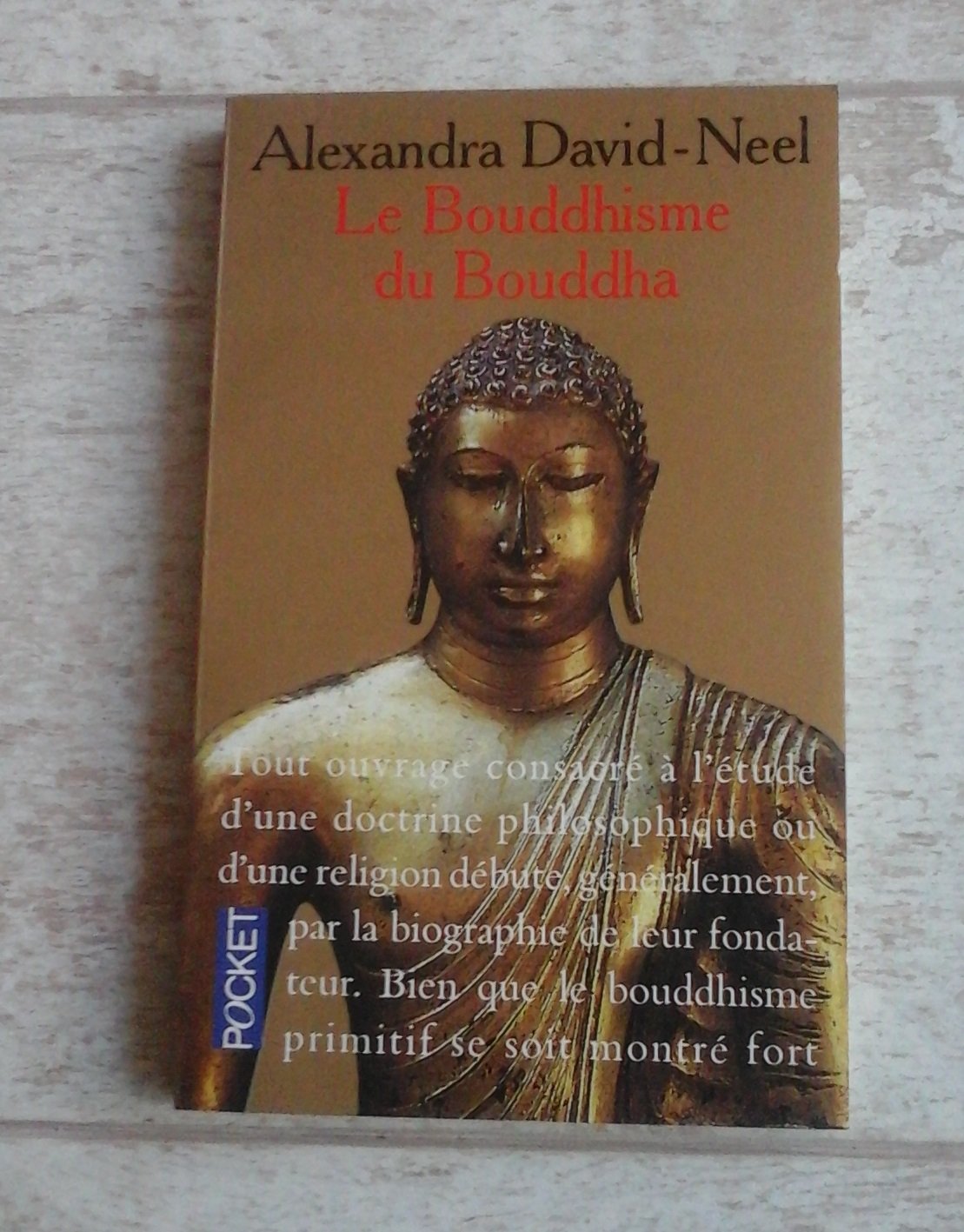 Le bouddhisme du Bouddha: Ses doctrines, ses méthodes et ses développements mahayanistes et tantriques au Tibet Books