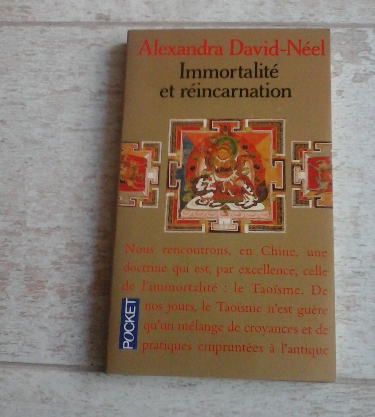 Immortalité et réincarnation: Doctrines et pratiques, Chine, Tibet, Inde Books