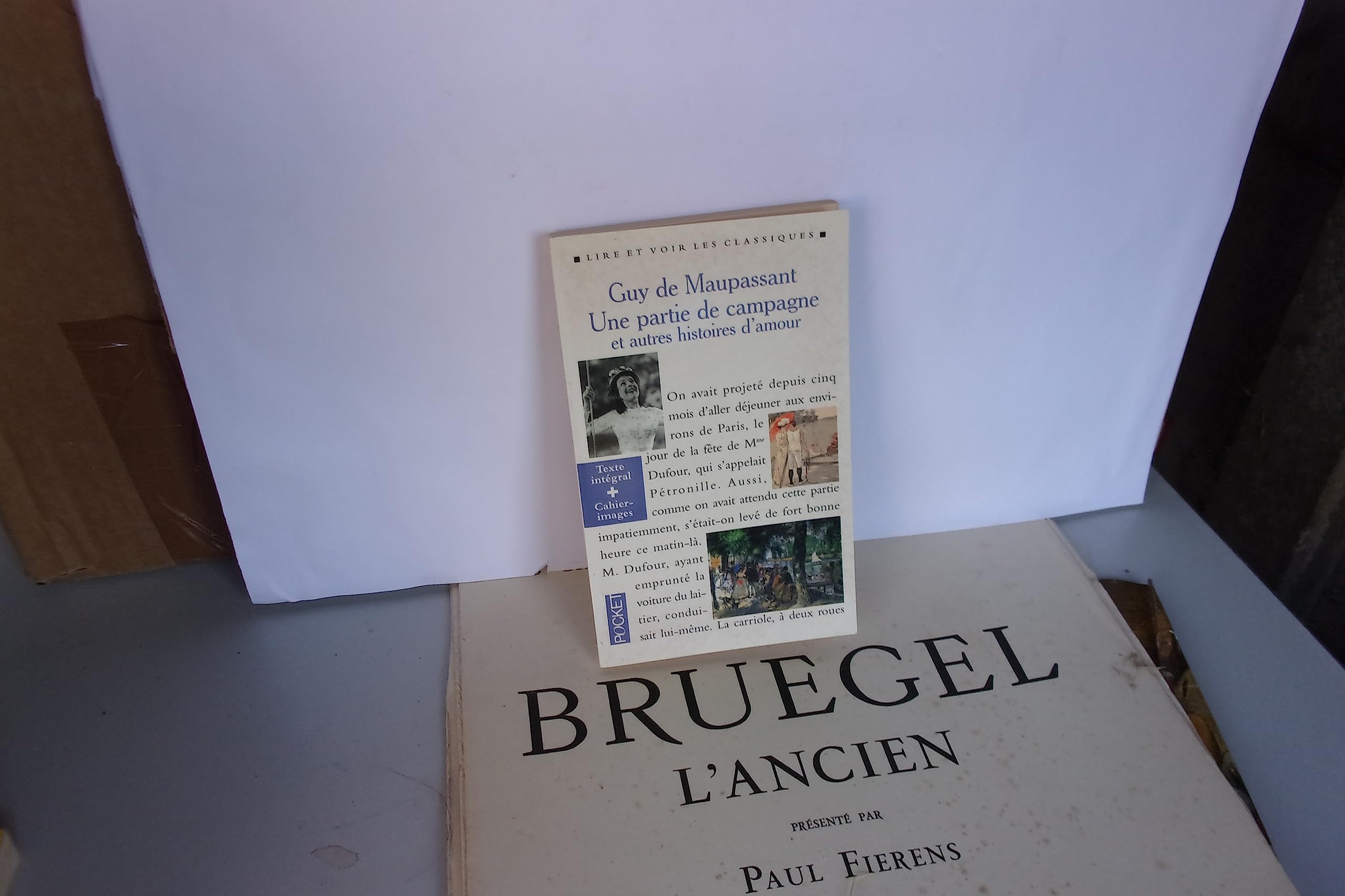 Une partie de campagne et autres histoires d'amour book