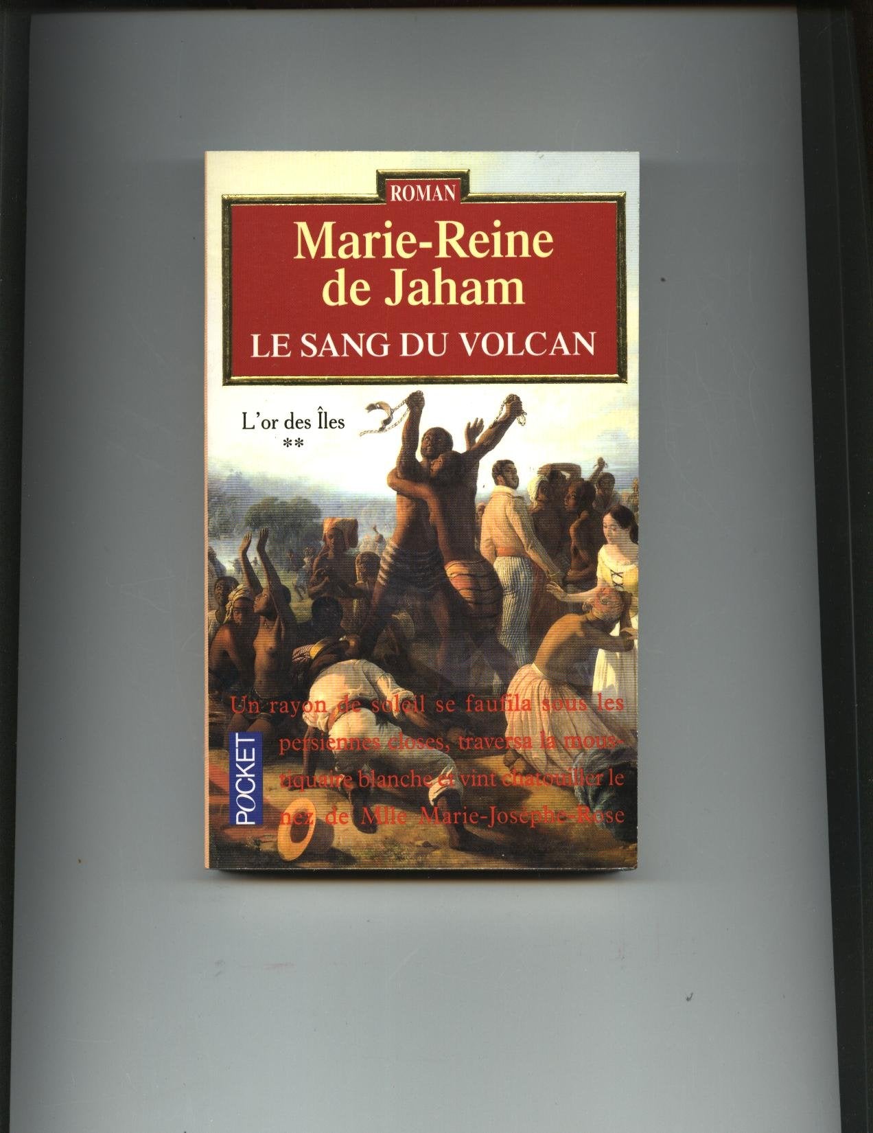 L'Or Des Iles, Tome 2 : Le Sang Du Volcan book