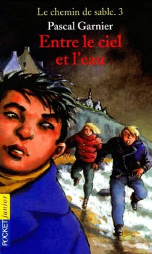 J'irai te voir ..., tome 3 : Entre le ciel et l'eau book