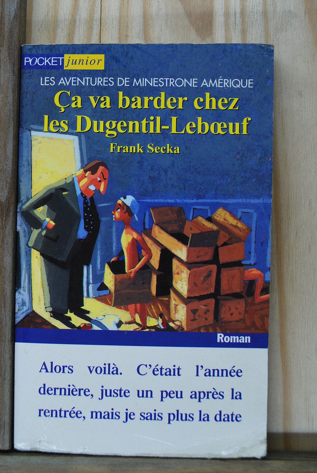 Ca Va Barder Chez Les Dugentil-Leboeuf. Les Aventures De Minestrone Amerique book