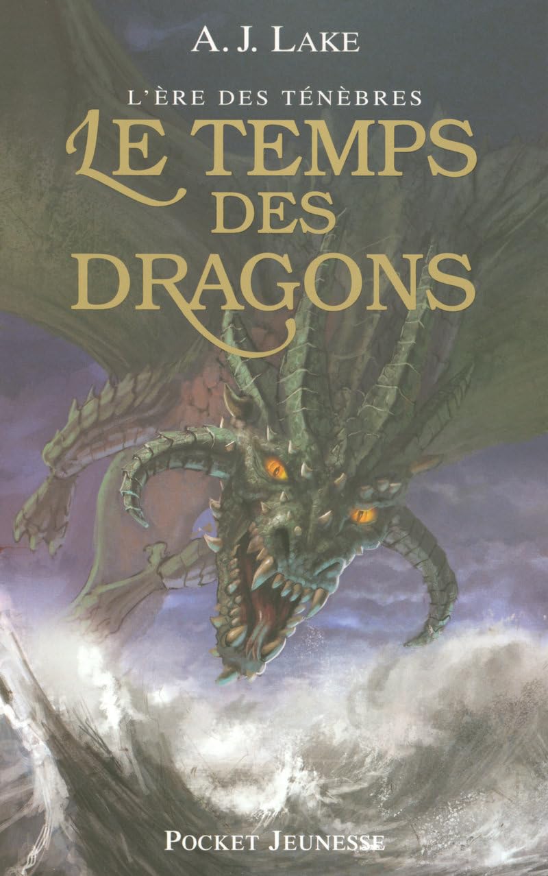 L'Ère des Ténèbres T.1 - Le Temps des Dragons book