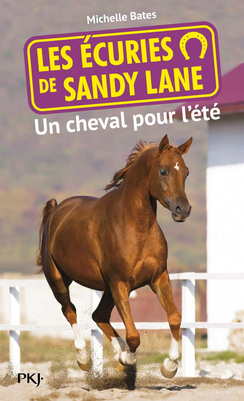 Les écuries de Sandy Lane T.1 : Un cheval pour l'été (1) book