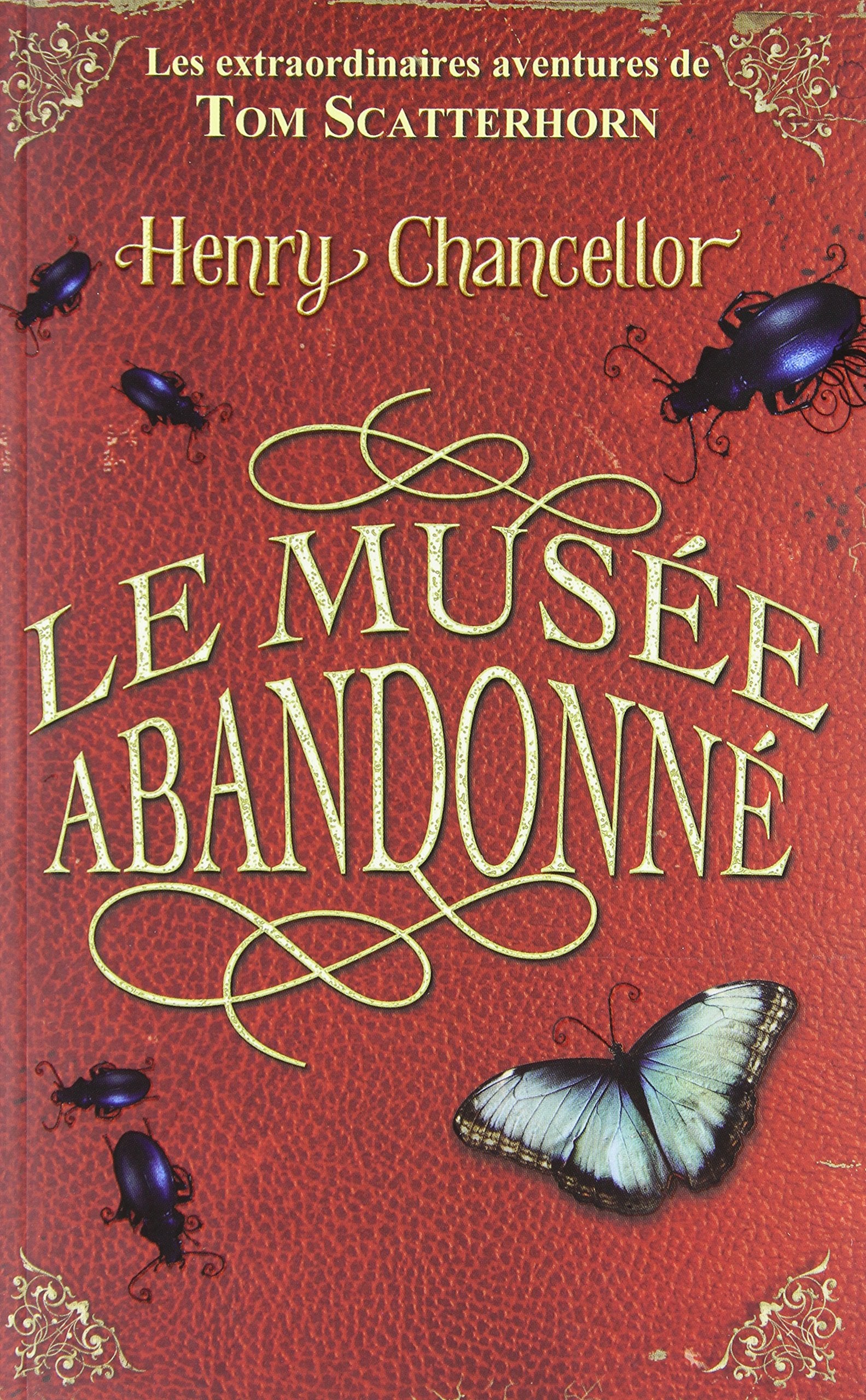 1. Les extraordinaires aventures de Tom scatterhorn book