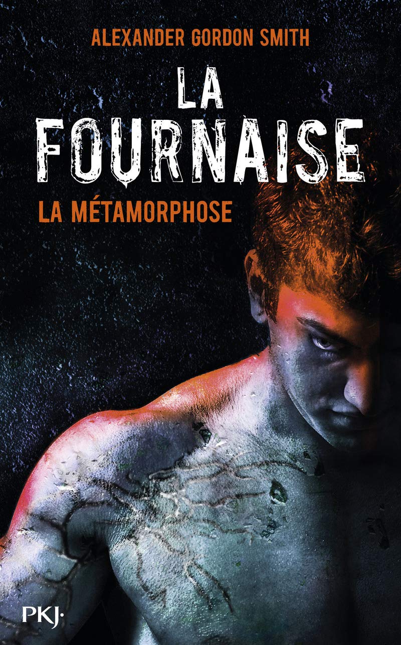 3. La Fournaise : La Métamorphose book