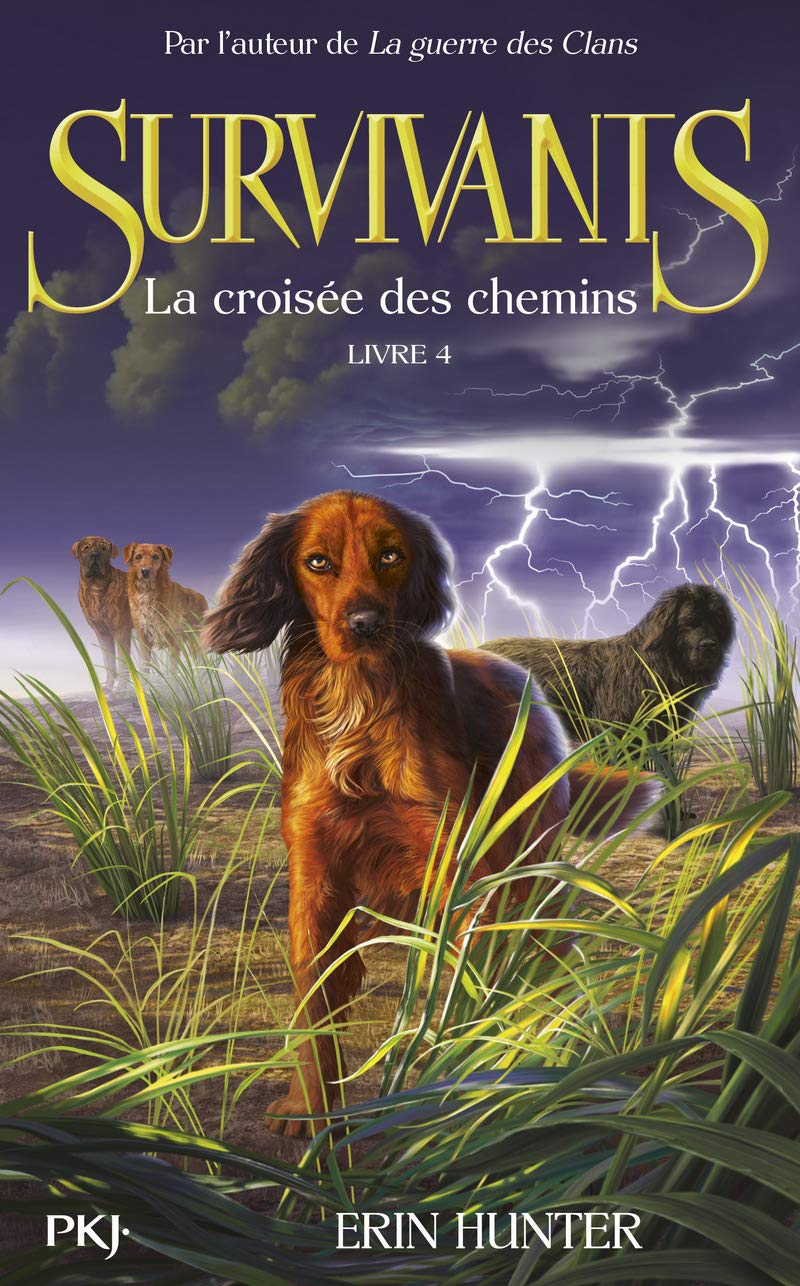 Survivants - tome 4 La croisée des chemins Novels & Short Stories