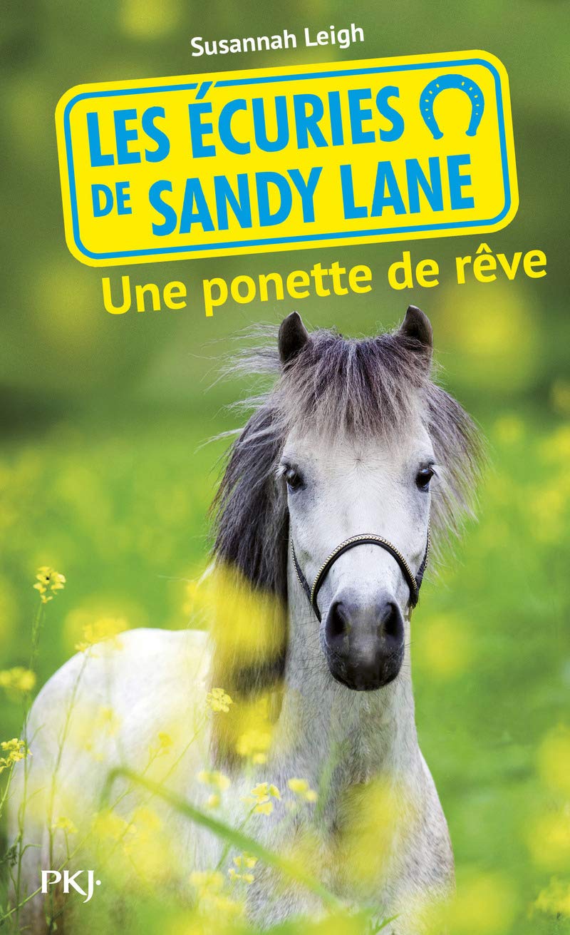 5. Les écuries de Sandy Lane : Une ponette de rêve: Une ponette de rêve book