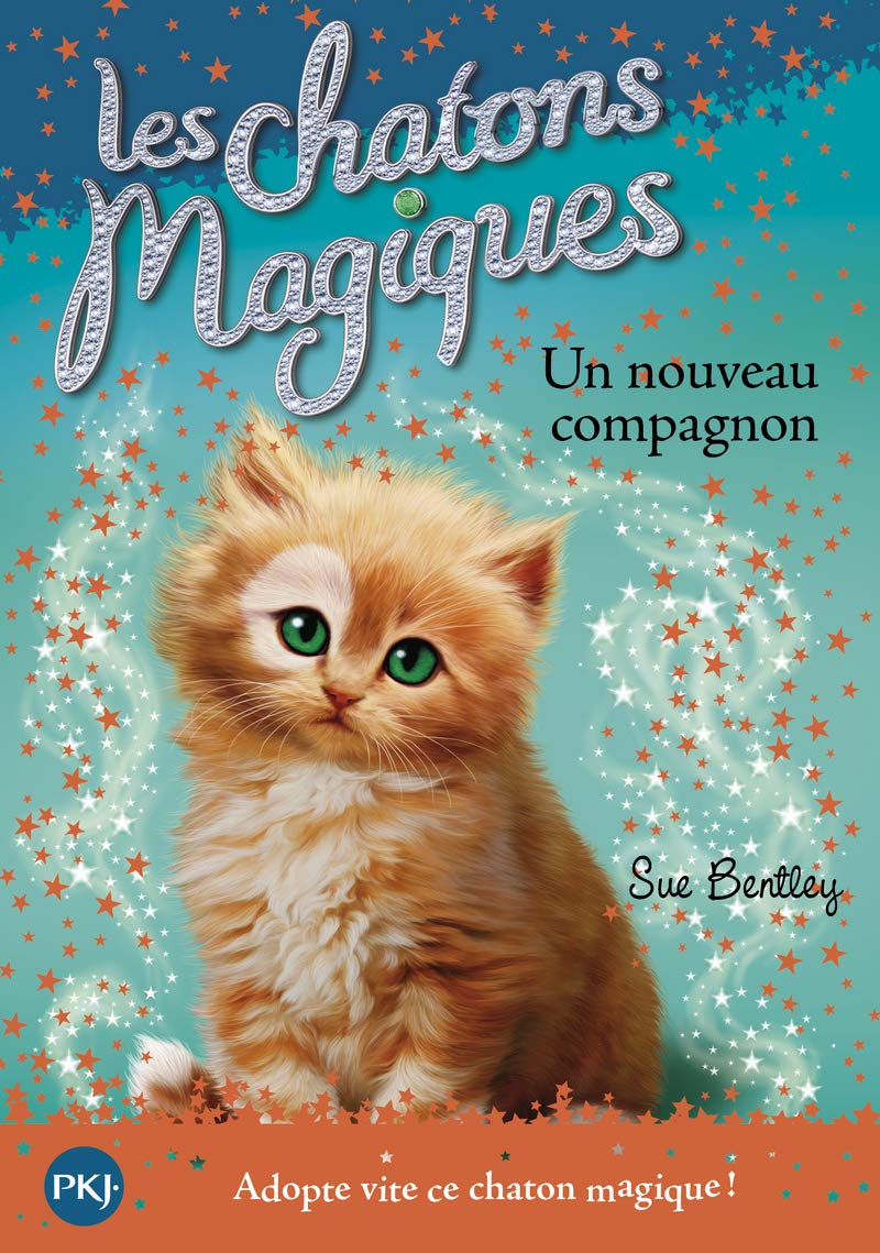 Les chatons magiques - numéro 19 Un nouveau compagnon (19) Novels & Short Stories