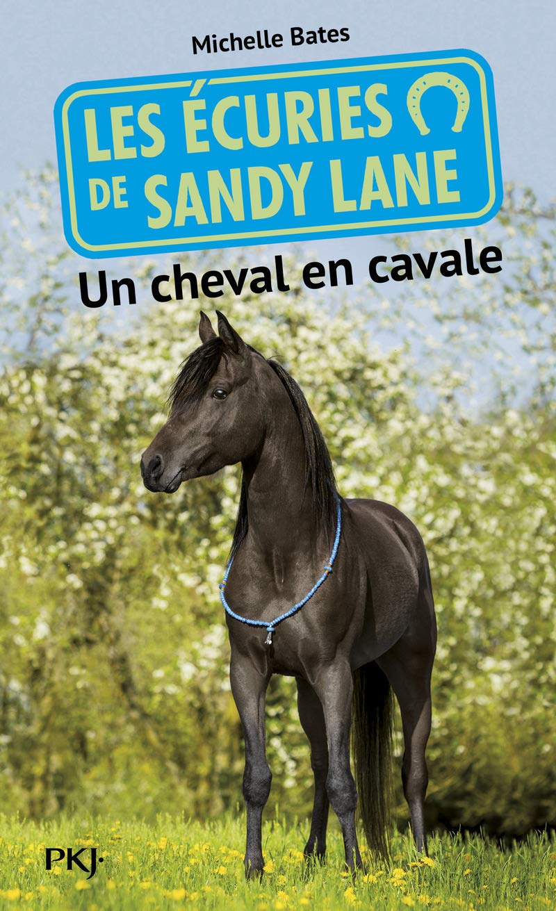 7. Les écuries de Sandy Lane : Un cheval en cavale book