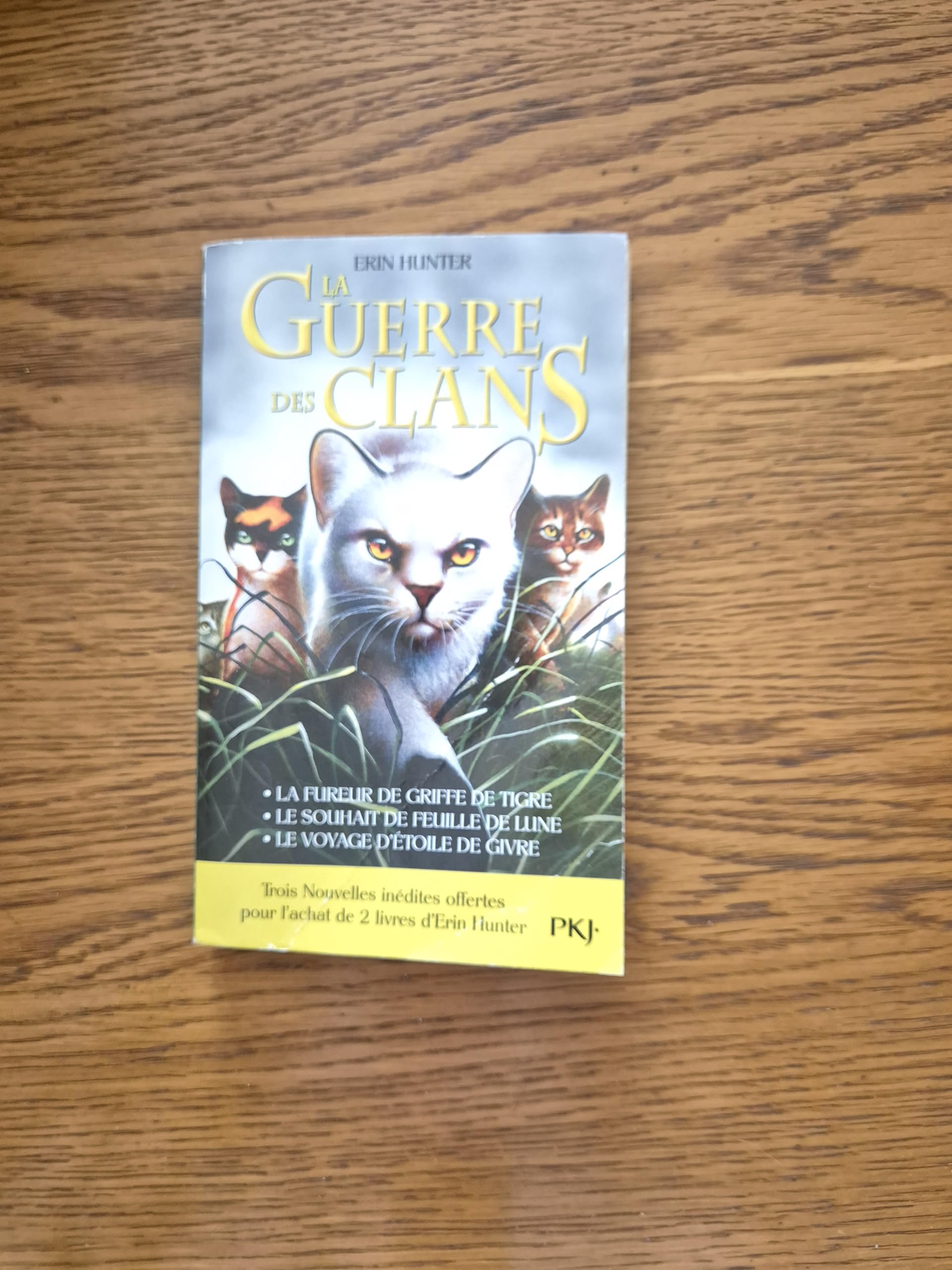 La Guerre des Clans, Livre pour Enfants sur les Chats et les Chatons book
