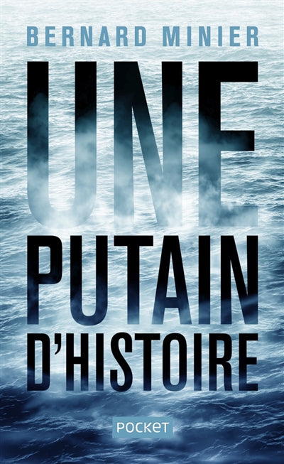 Product Image: Une putain d'histoire