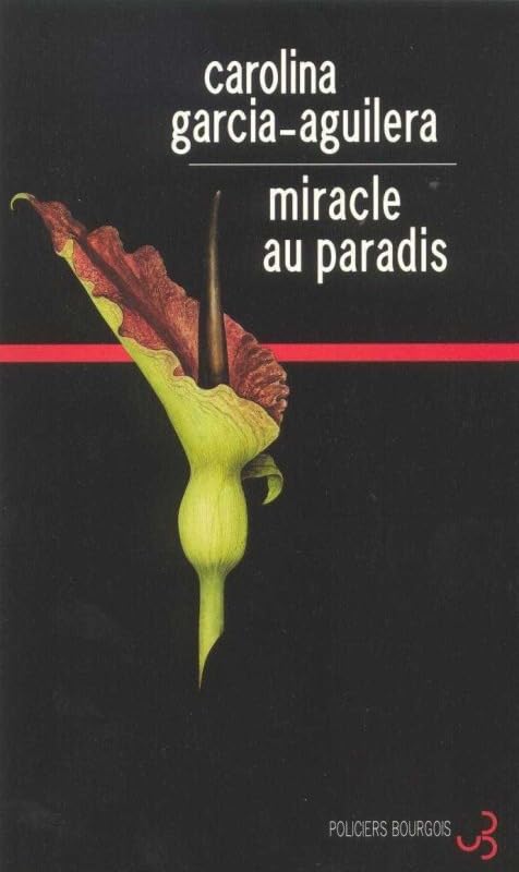 Miracle au paradis Contemporary literature