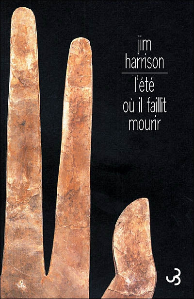 Product Image: L'été où il faillit mourir