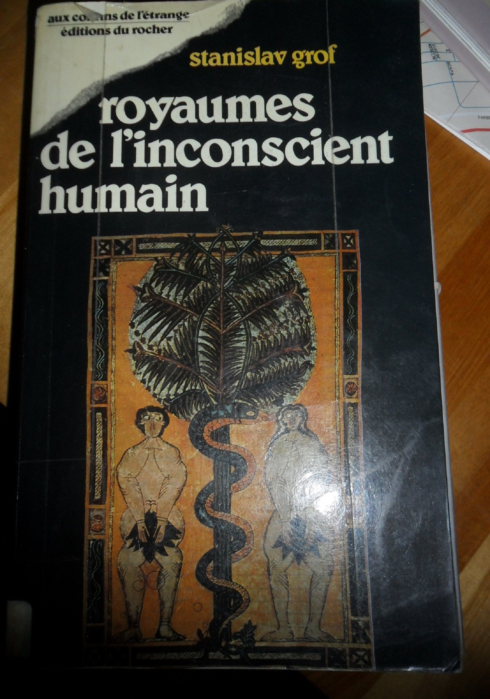 Royaumes de l'inconscient humain : la psychologie des profondeurs devoilee par l'expérience l.s.d. Books