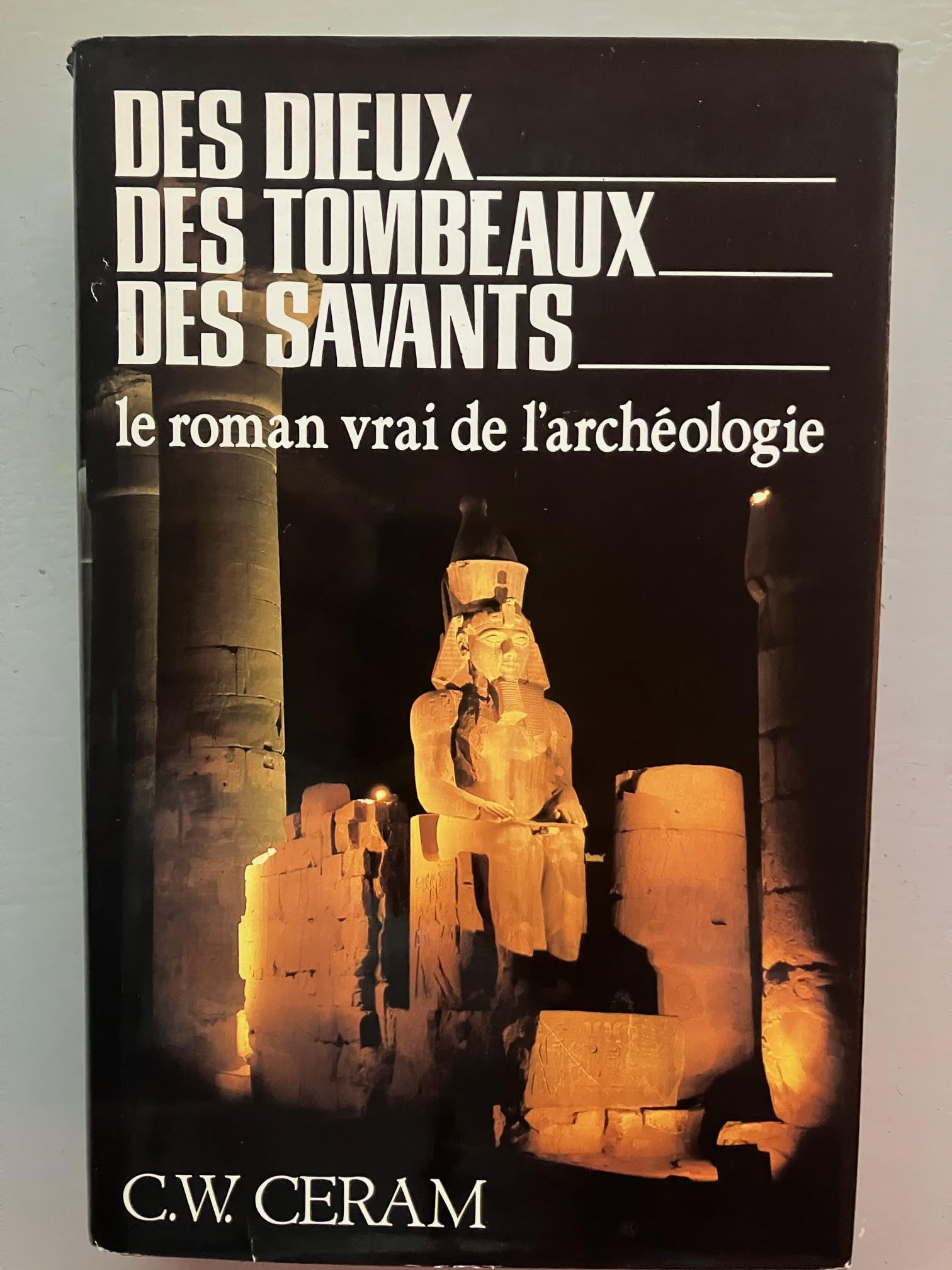 Des Dieux, des tombeaux, des savants: Le roman vrai de l'archéologie Books