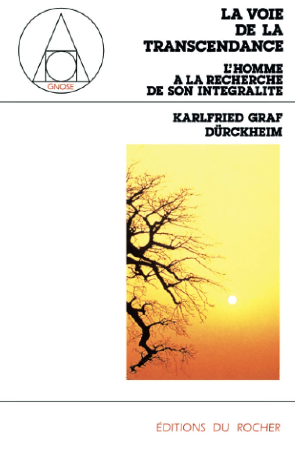 La voie de la transcendance : l'homme à la recherche de son intégralité Religion & Esotericism