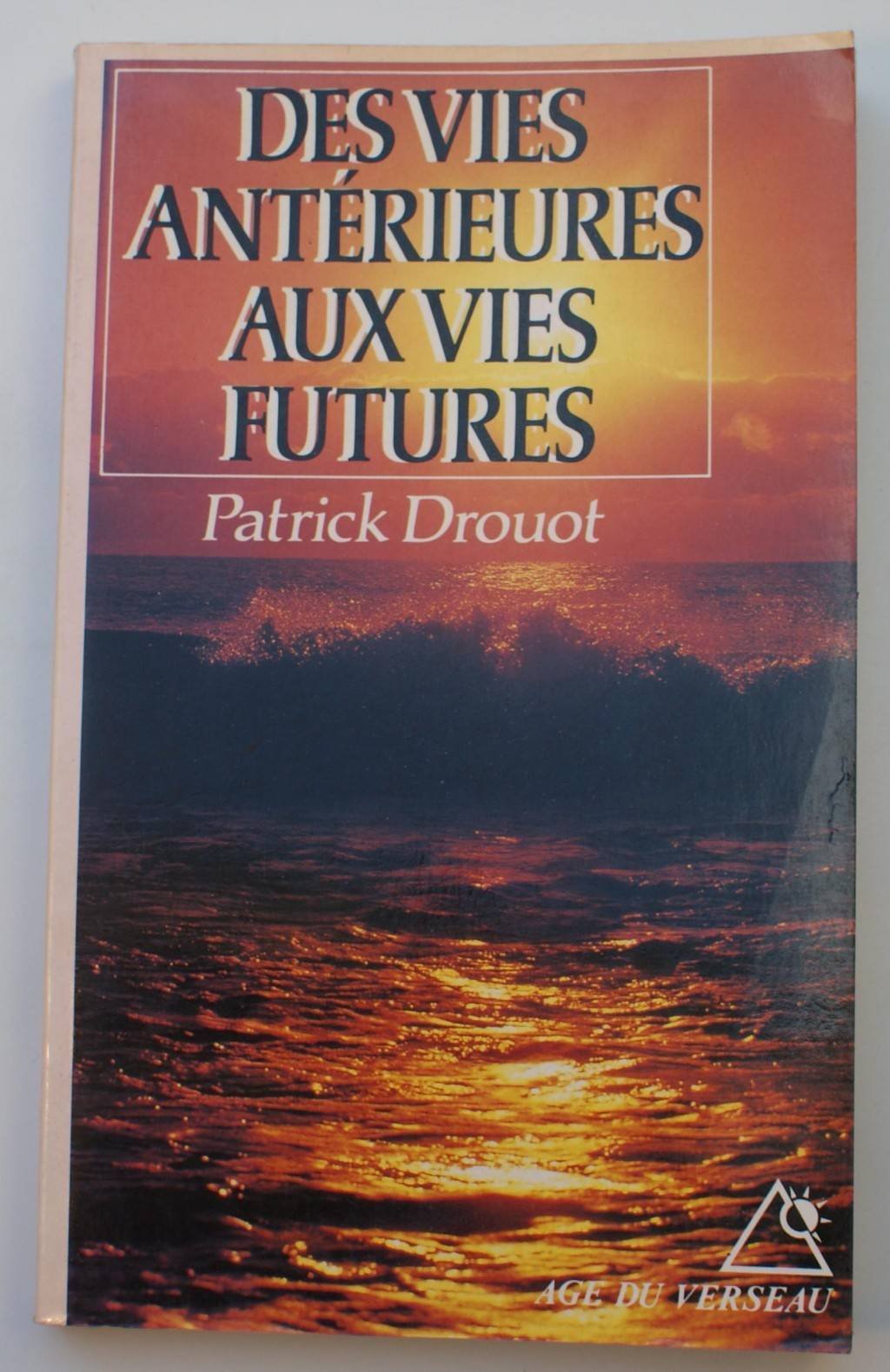 Des vies antérieures aux vies futures: Immortalité et réincarnation Books