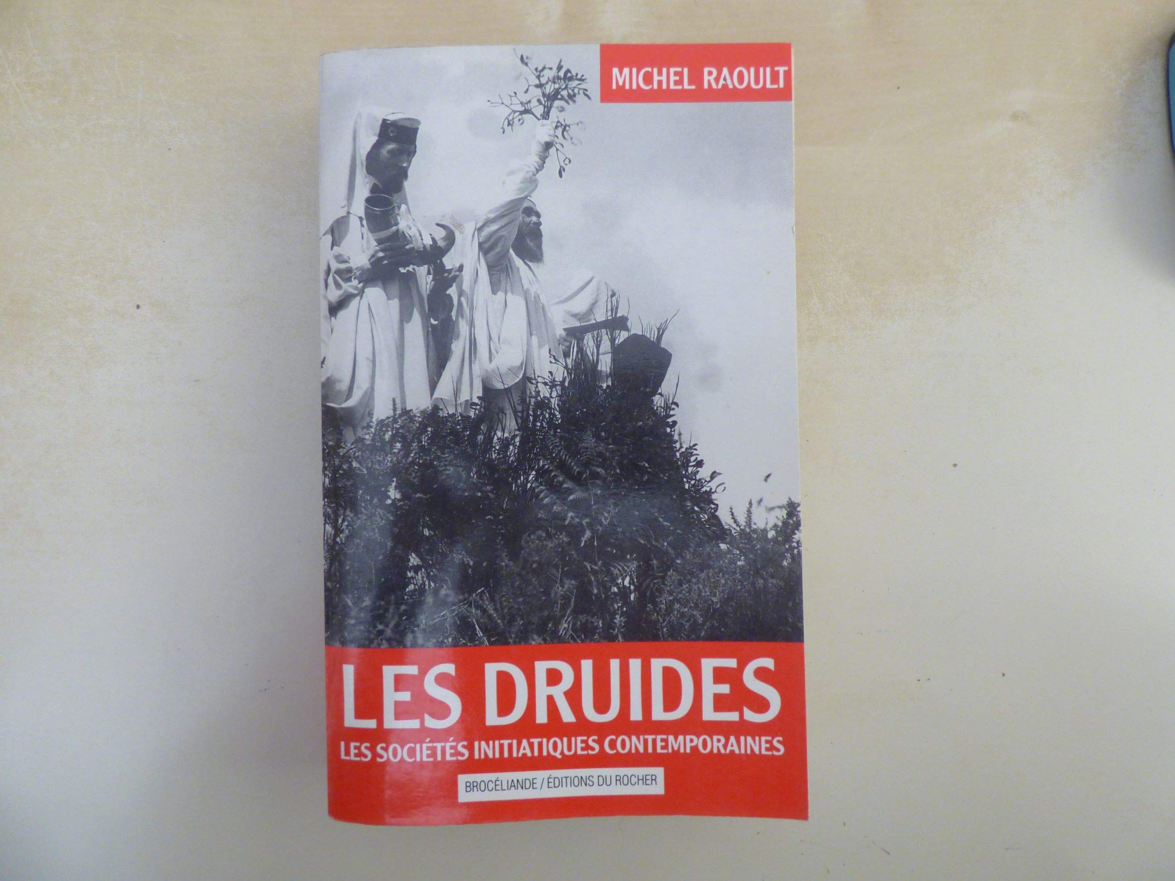 Les druides : les sociétés initiatiques celtiques contemporaines Books