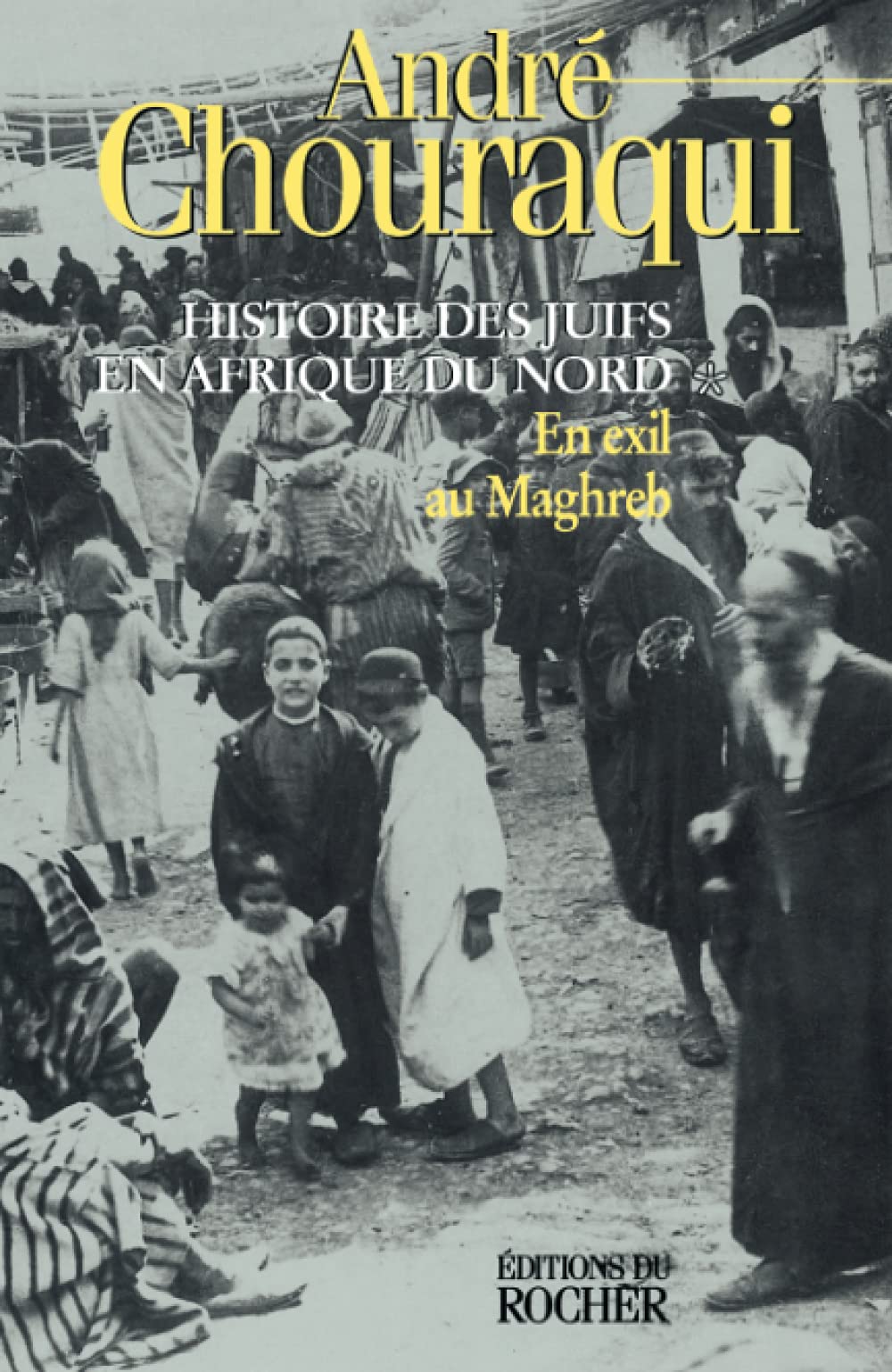 Histoire des Juifs en Afrique du Nord: En exil au Maghreb Contemporary literature