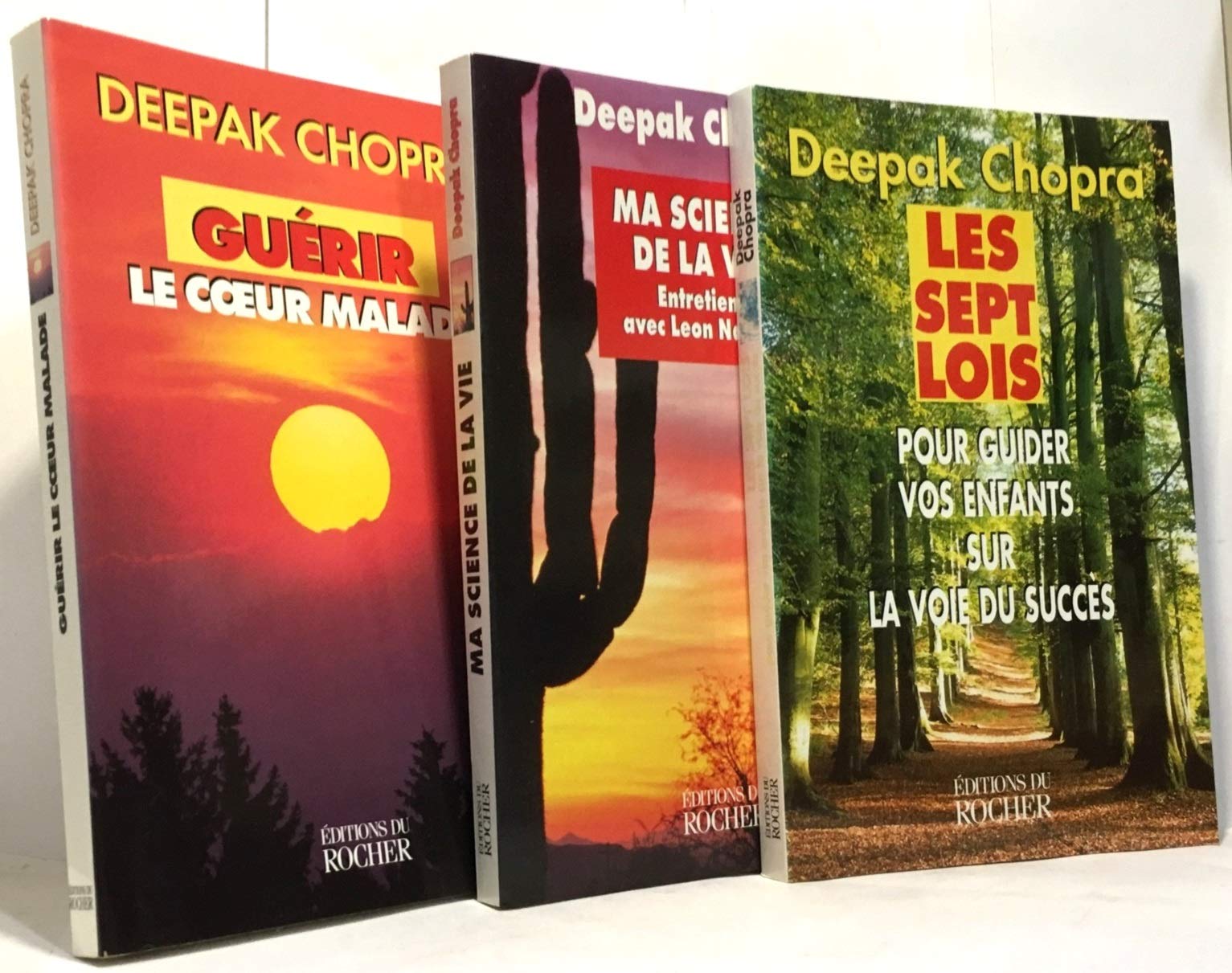 Guérir le coeur malade: Une approche spirituelle de la maladie coronarienne Books
