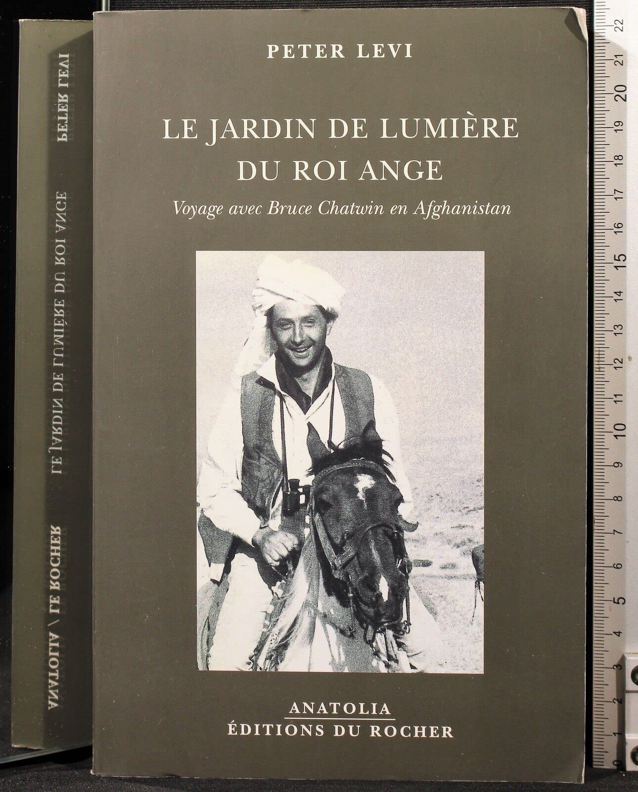 Le Jardin de lumière du Roi Ange : Voyage avec Bruce Chatwin en Afghanistan book