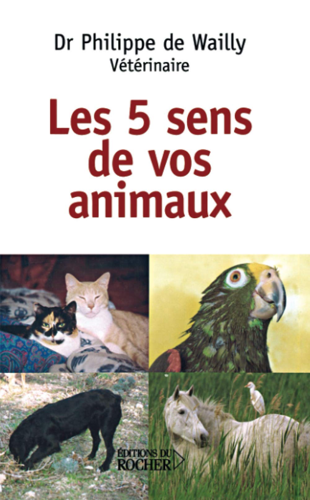 Les cinq sens de nos animaux book
