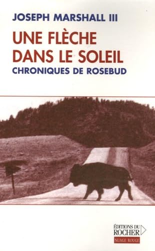 Une flèche dans le soleil: Chroniques de Rosebud Books