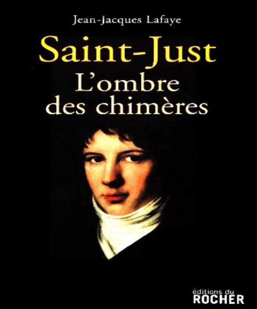 Saint-Just : l'ombre des chimères Contemporary literature