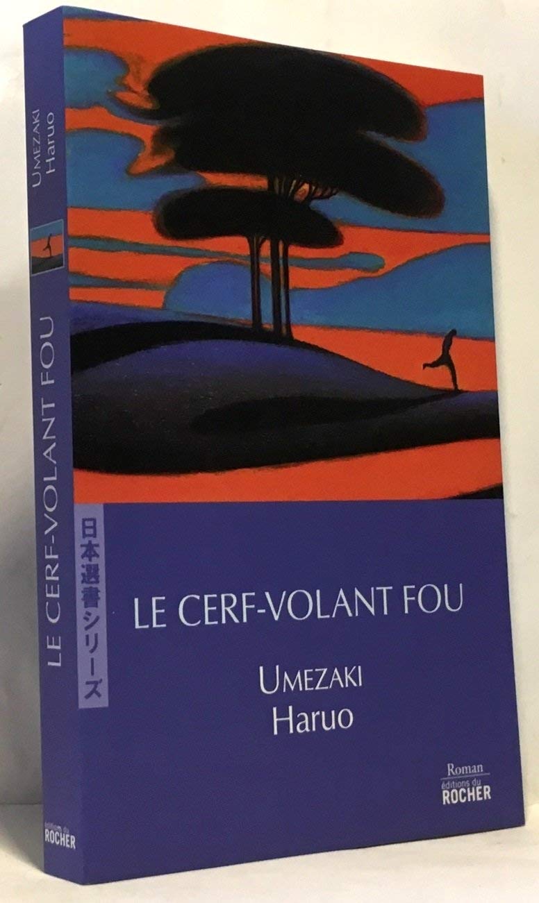 Le Cerf-volant fou Books