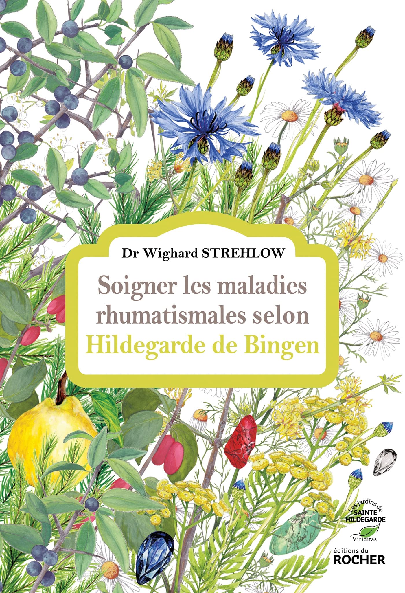 Soigner les maladies rhumatismales selon Hildegarde de Bingen Books