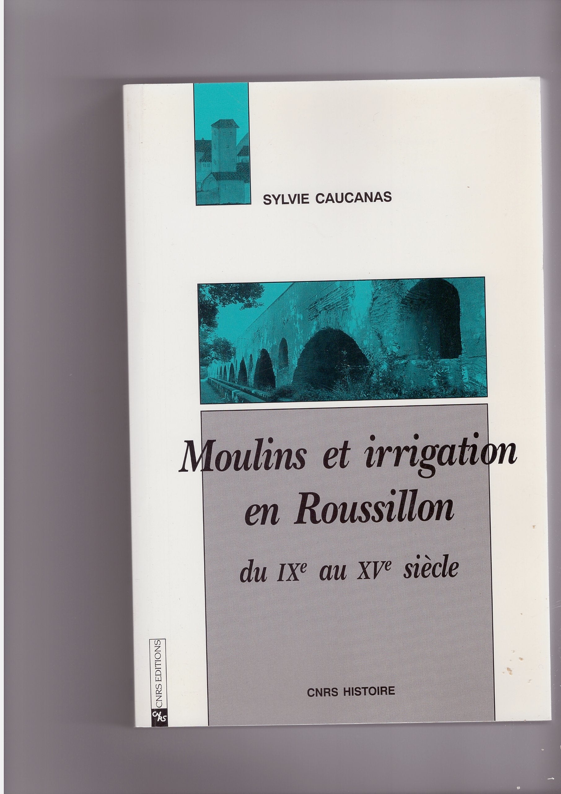 Moulins et irrigation en Roussillon du IXe au XVe siècle book