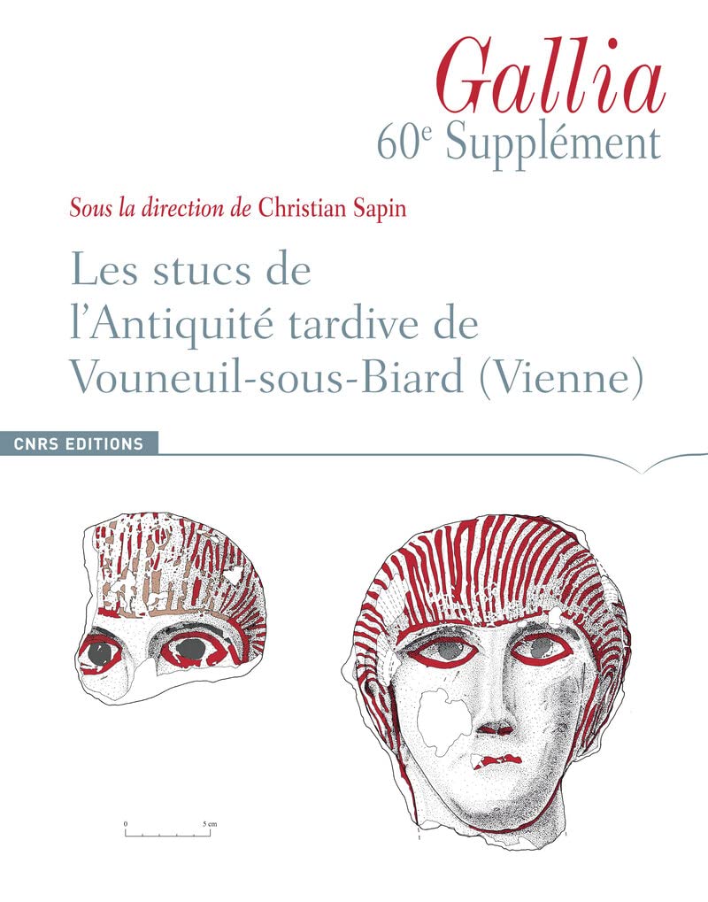 Supplément à Gallia 60 : Les stucs de l'antiquité book