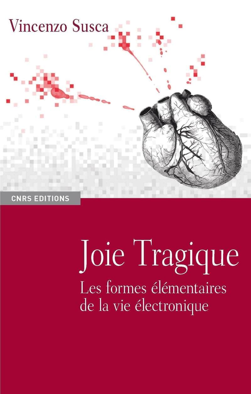 Joie tragique: Les formes élémentaires de la vie électronique Social Sciences
