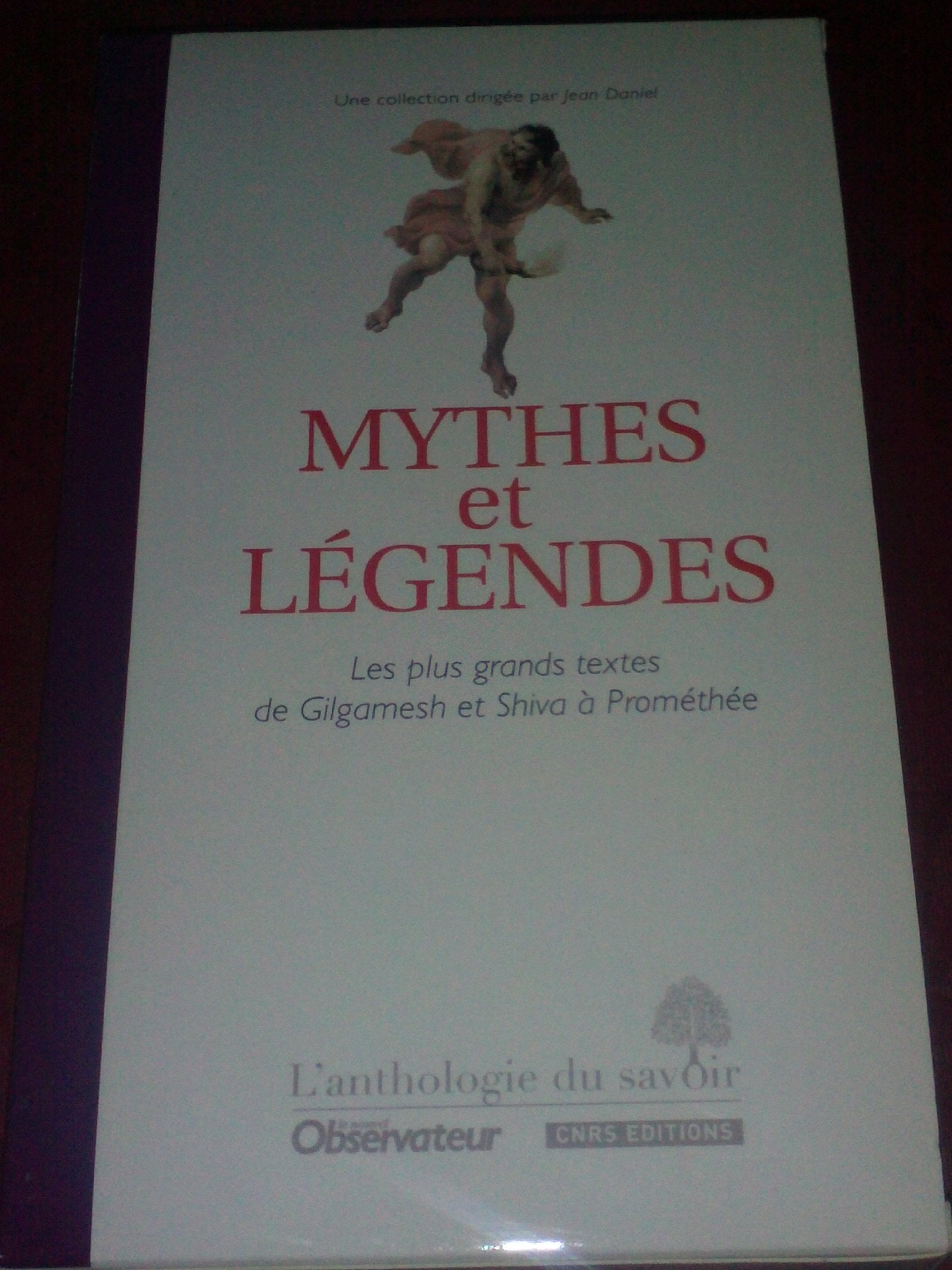 Mythes et légendes les plus grands textes de Gilgamesh et Shiva à Prométhée book